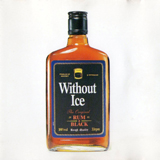 Without Ice album cover